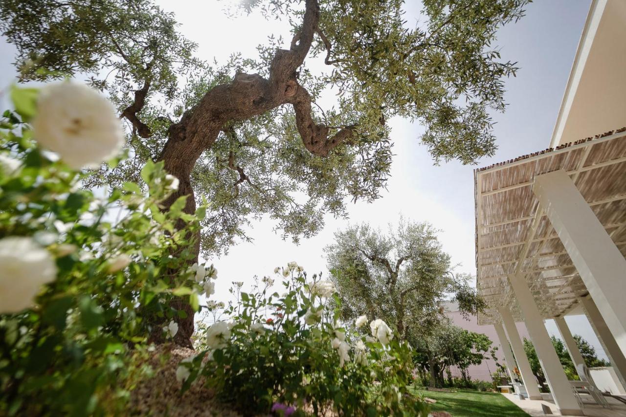 Bed and Breakfast Almasol - Charme Experience Castellana Grotte Exterior foto